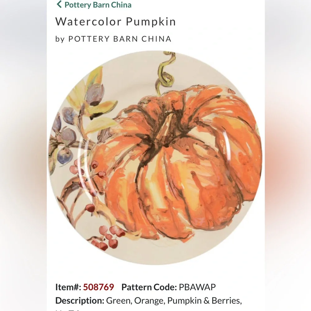 Williams Sonoma Autumn Pumpkin 3 Salad Plates